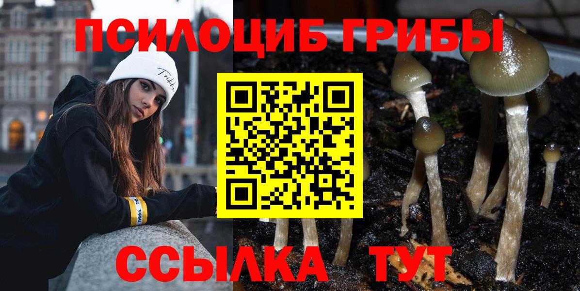 Псилоцибиновые грибы Cubensis  Вход с VPN  Мелеуз 